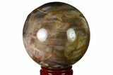 Colorful Petrified Wood Sphere - Madagascar #163369-1